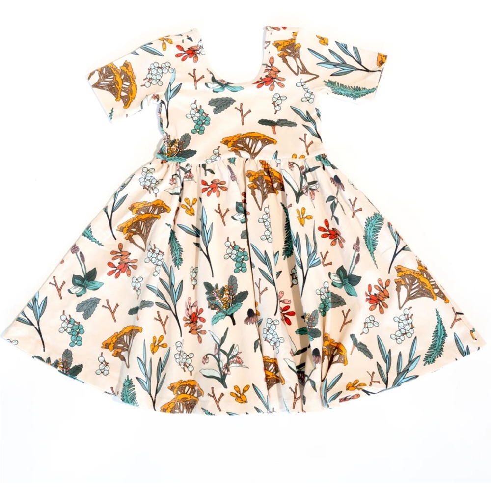 Alice + Ames Ballet Dress